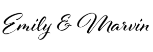 Schriftzug Webseite